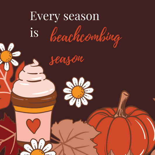 🍂🌱🌬 ☀️Beachcombing Through the Seasons: A Year-Round Treasure Hunt