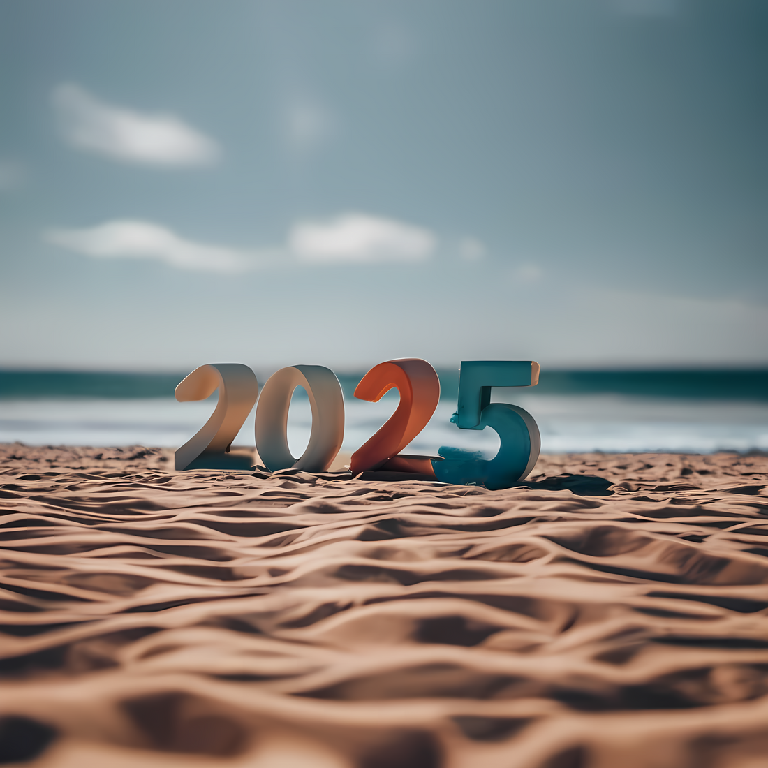 New Year, New Adventures: Your Ultimate Beachcombing Kit Awaits!