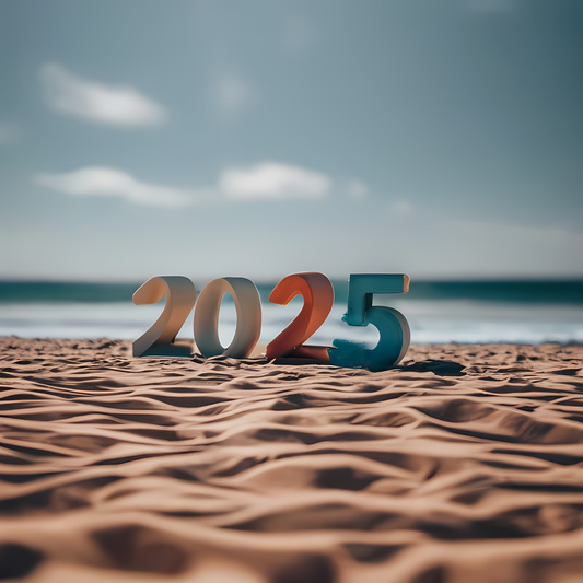 New Year, New Adventures: Your Ultimate Beachcombing Kit Awaits!