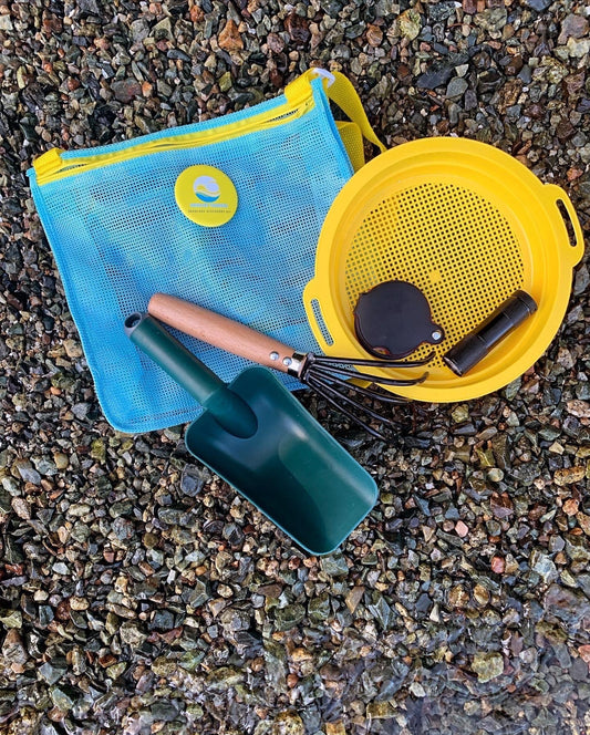 Discover the Modern Day Beachcombing Kit: Essential for Every Beach Bum