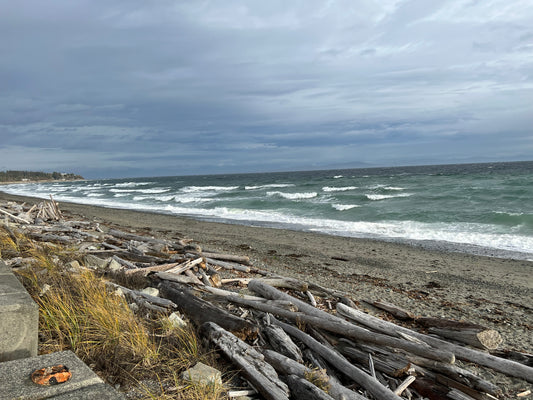 The Mental Health Benefits of Beachcombing: Finding Calm Along the Shore