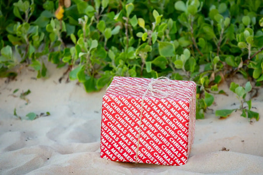 Why the Modern Day Beachcombing Kit is the Perfect Gift for Any Ocean Lover