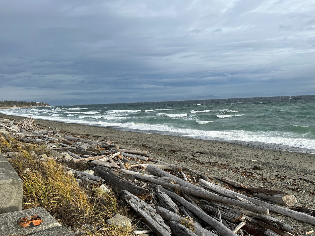 The Mental Health Benefits of Beachcombing: Finding Calm Along the Shore